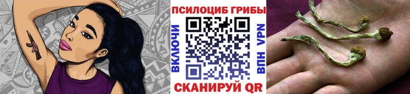 цена наркотик Томари Галлюциногенные грибы мухоморы