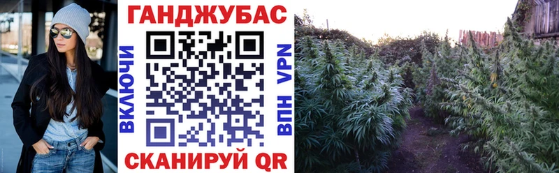 где купить наркоту  ОМГ ОМГ вход  Бошки марихуана THC 21%  Томари 